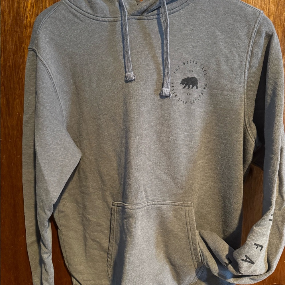 The North Face Gray Hoodie with Bear Graphic